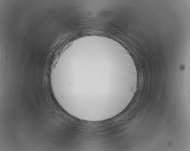X0000116810608201001291603