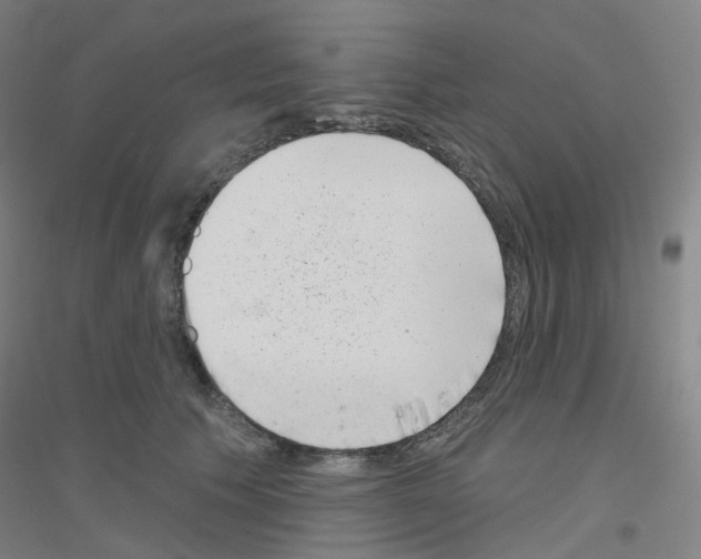 X0000116810609201001291603