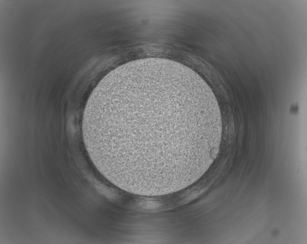 X0000116810610201001291603