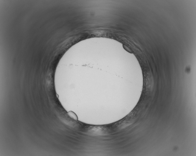 X0000116810611201001291603