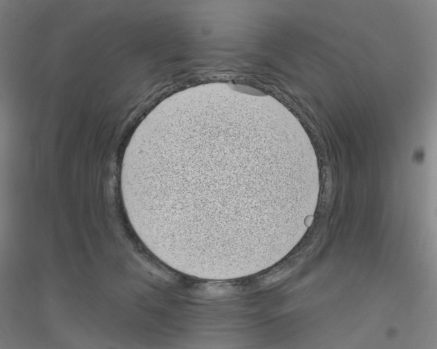 X0000116810612201001291602