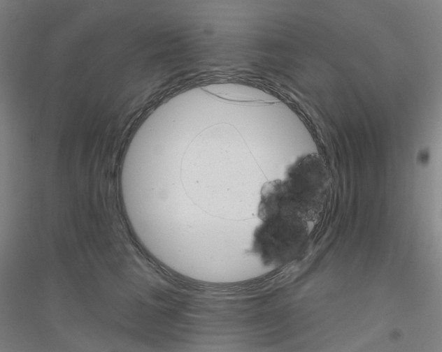 X0000116810613201001291602