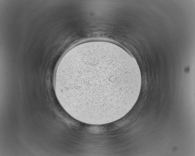 X0000116810615201001291602