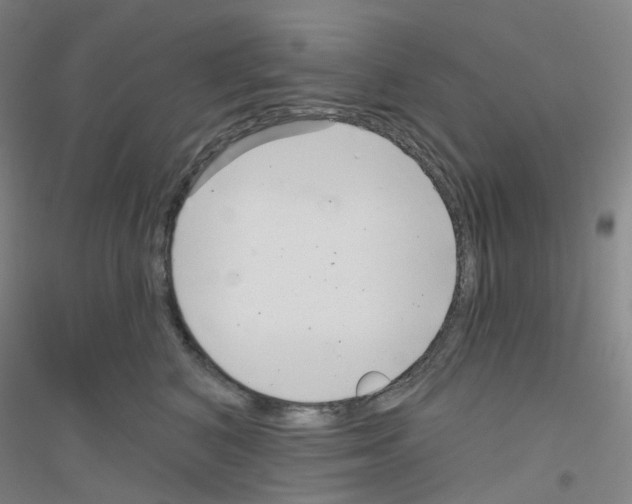 X0000116810616201001291602