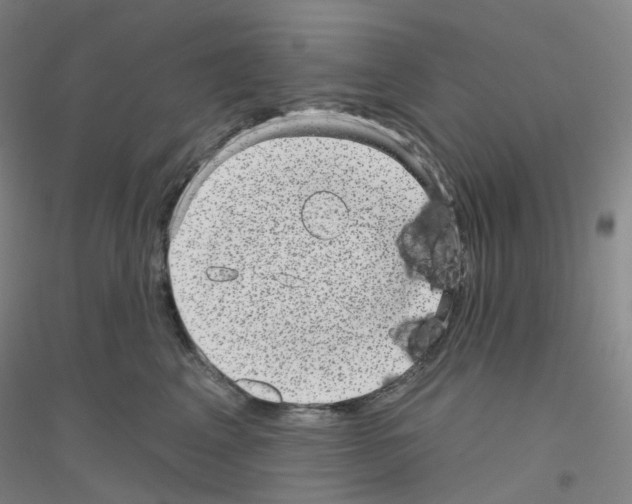 X0000116810617201001291602