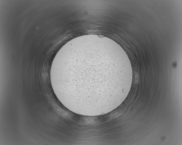 X0000116810618201001291602