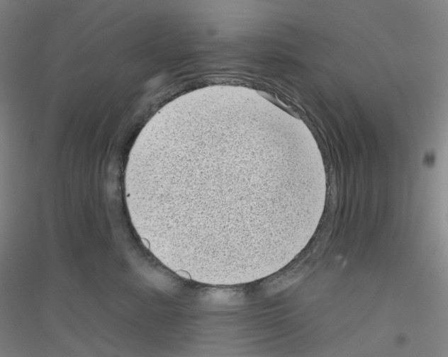 X0000116810619201001291602