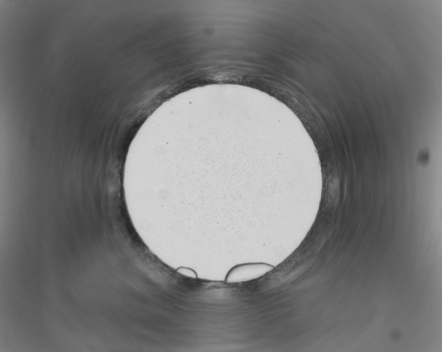 X0000116810620201001291602