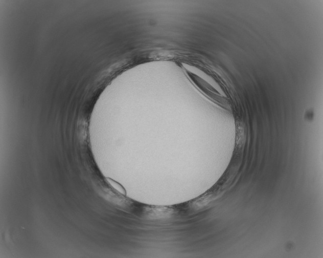 X0000116810621201001291602