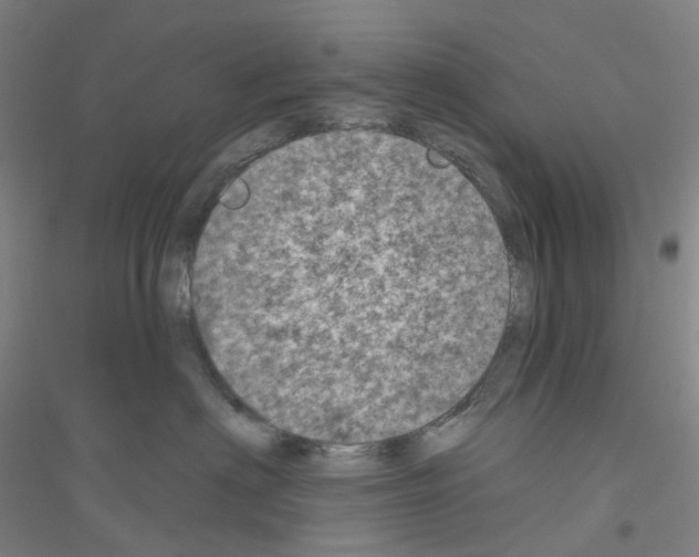 X0000116810622201001291602