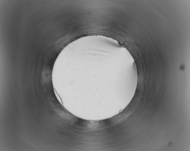 X0000116810623201001291602