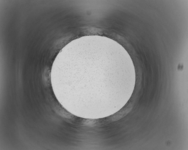 X0000116810624201001291602