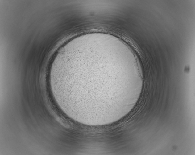X0000116810626201001291602