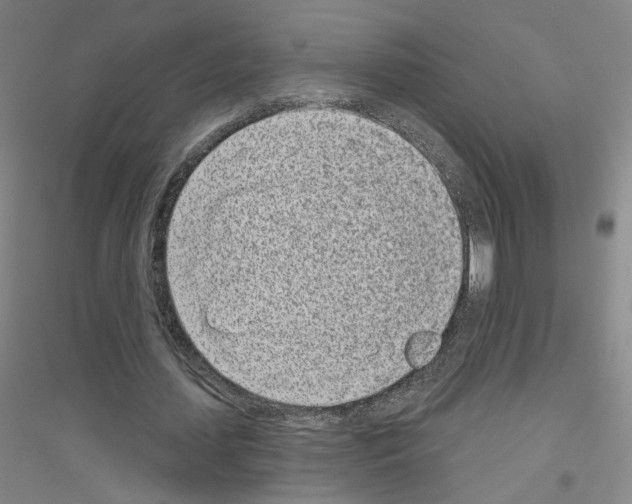 X0000116810627201001291602