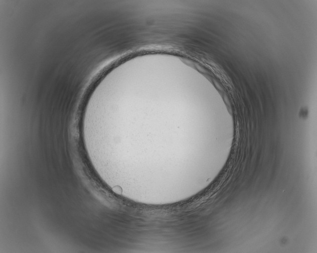 X0000116810628201001291602