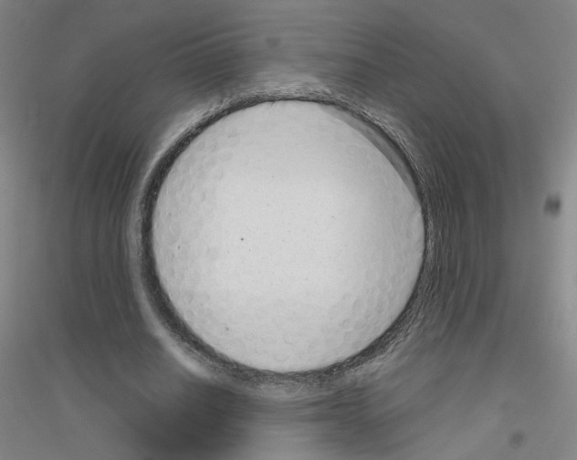 X0000116810630201001291602