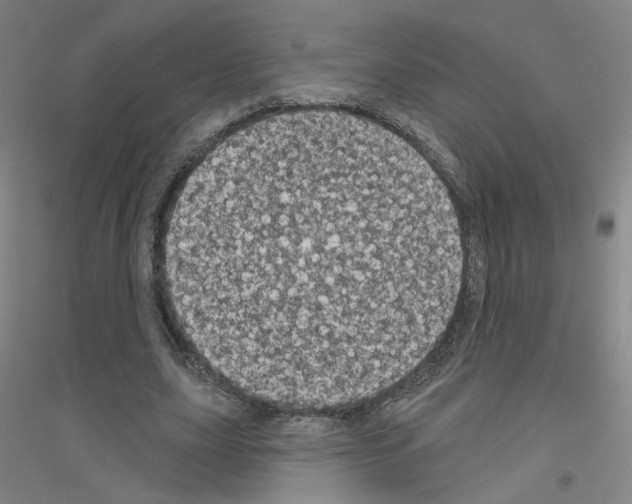 X0000116810631201001291602
