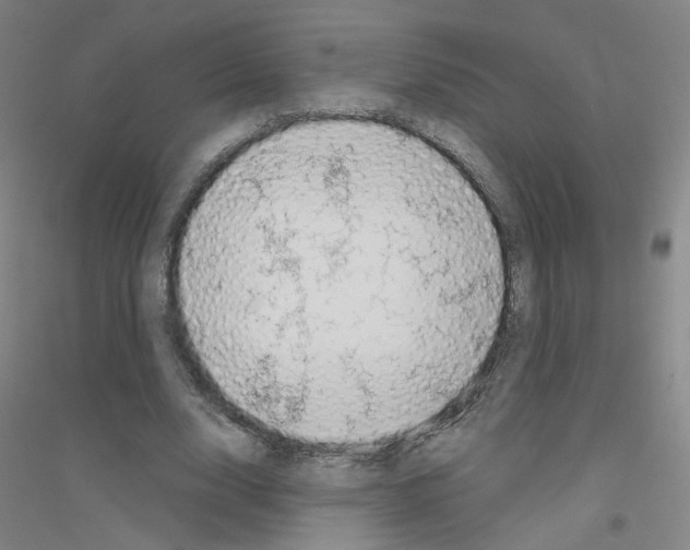 X0000116810632201001291602