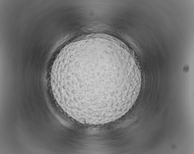 X0000116810634201001291602