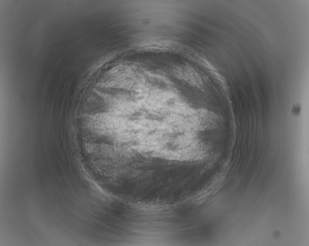 X0000116810637201001291602