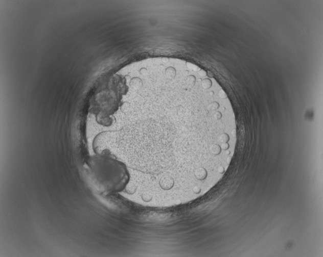 X0000116810638201001291602
