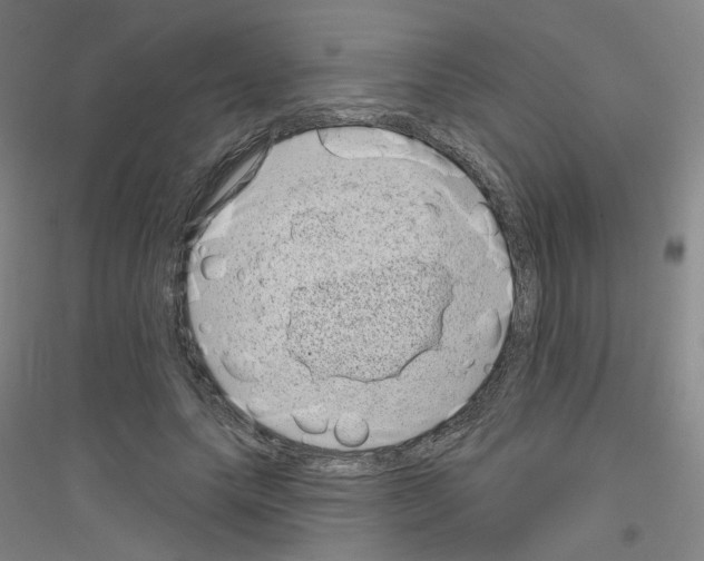 X0000116810639201001291602