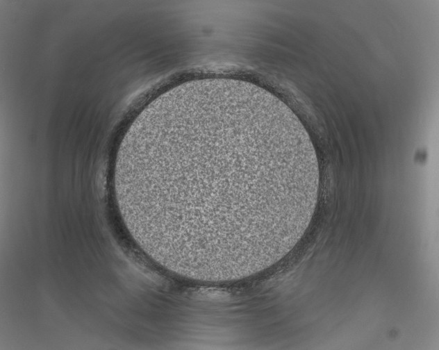 X0000116810640201001291602