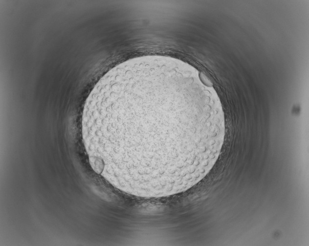 X0000116810642201001291602