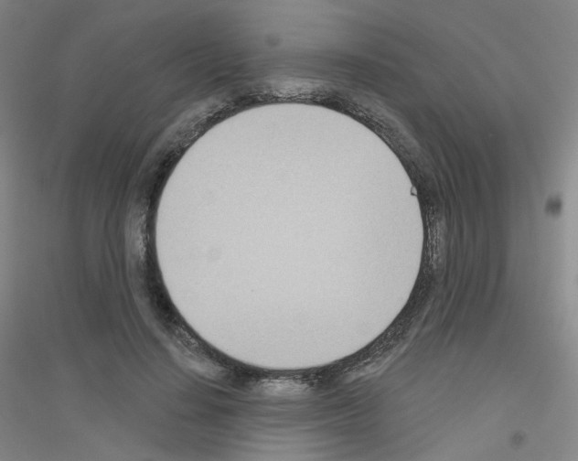 X0000116810644201001291602