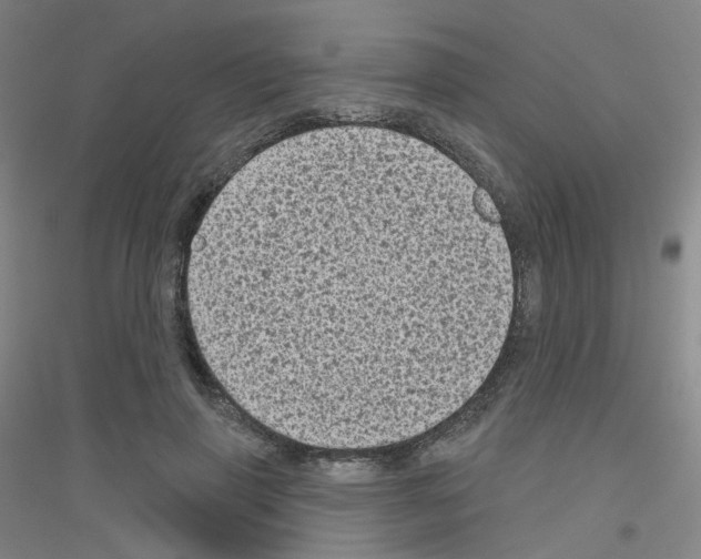 X0000116810645201001291602