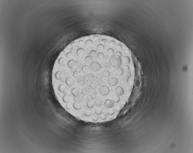 X0000116810646201001291602