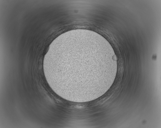 X0000116810647201001291602