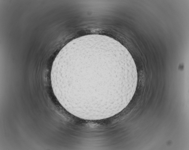 X0000116810650201001291602