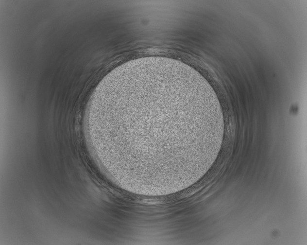 X0000116810651201001291602