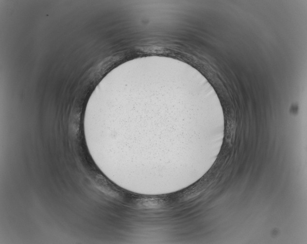 X0000116810652201001291602