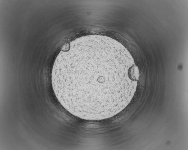 X0000116810653201001291602