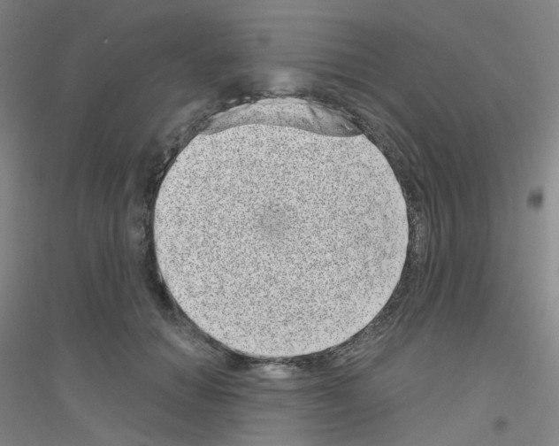 X0000116810654201001291602