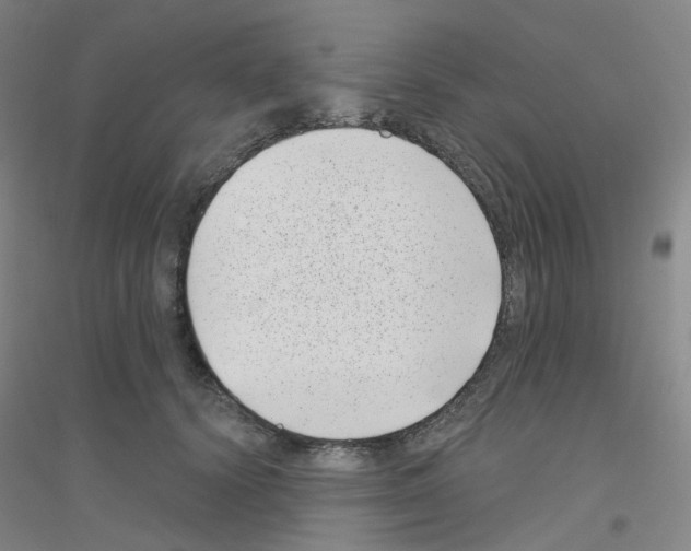 X0000116810656201001291602