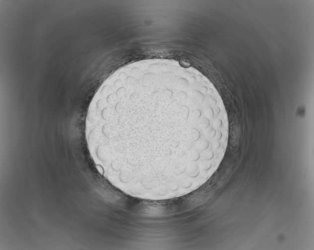 X0000116810658201001291602