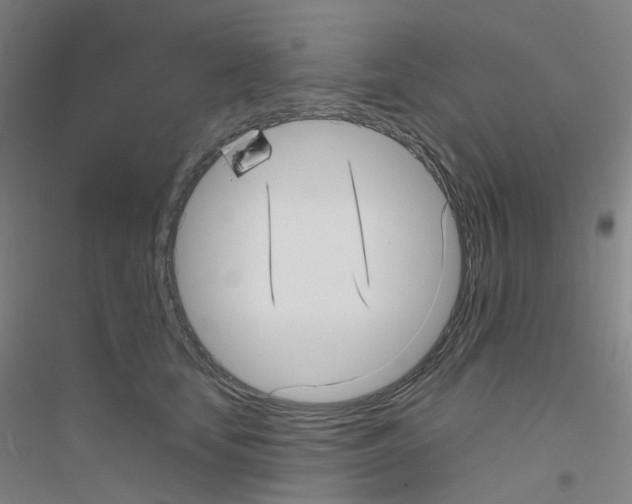 X0000116810659201001291602
