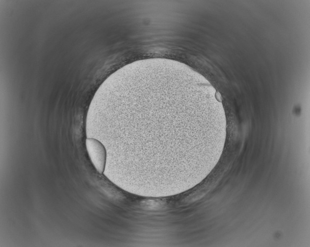 X0000116810660201001291602