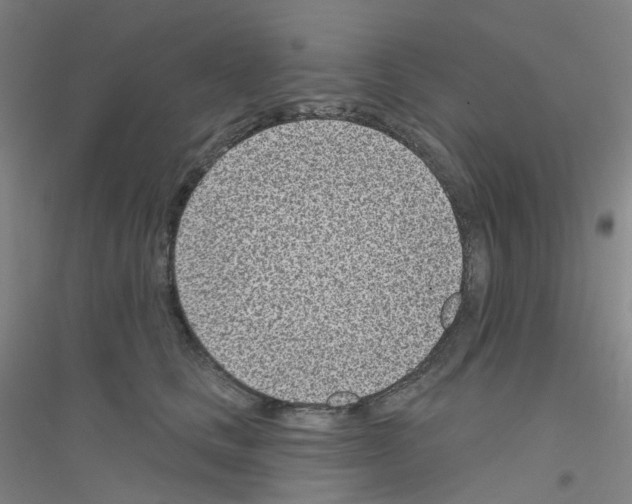 X0000116810661201001291602