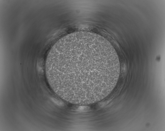 X0000116810663201001291602