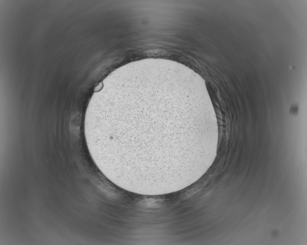 X0000116810664201001291602