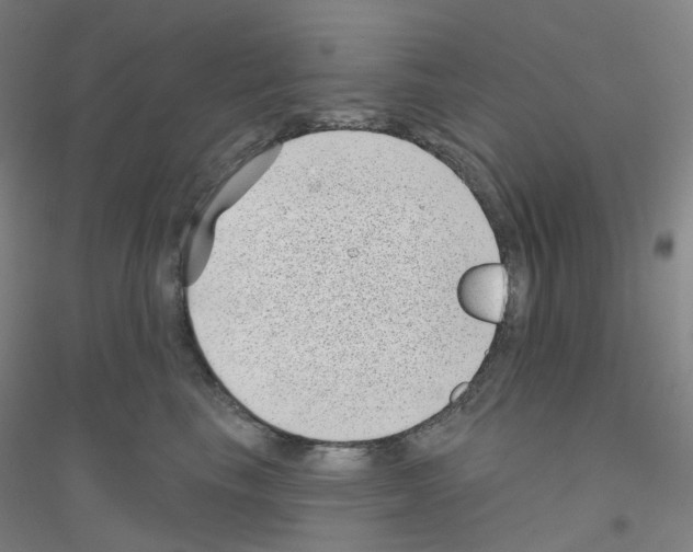 X0000116810665201001291602