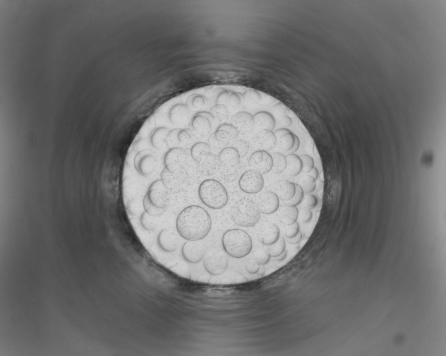 X0000116810666201001291602