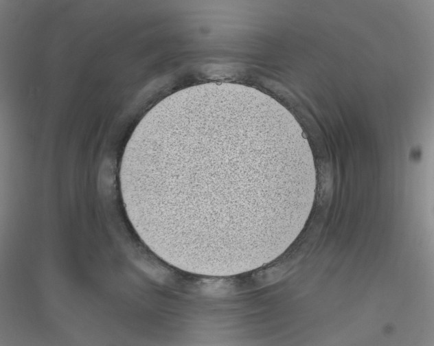 X0000116810667201001291602
