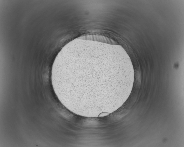 X0000116810668201001291602