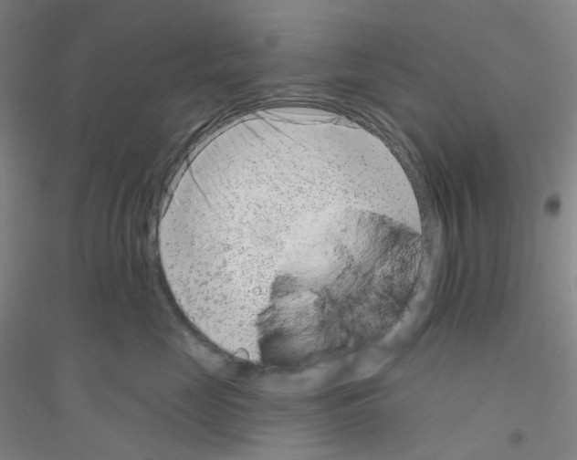 X0000116810669201001291602