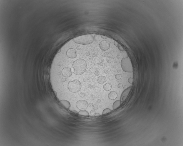 X0000116810671201001291602